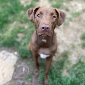 Meet your Posher, Britney